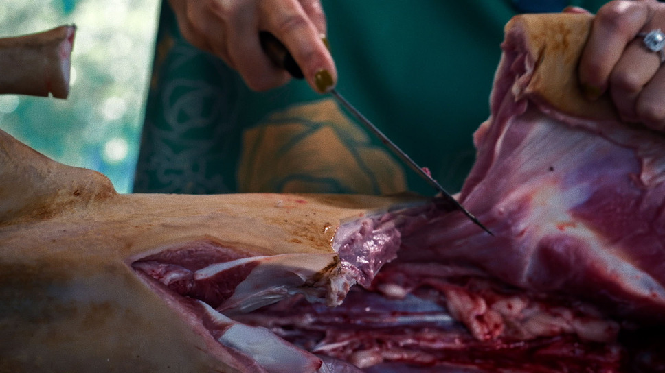 狗神の業 9枚目の写真・画像