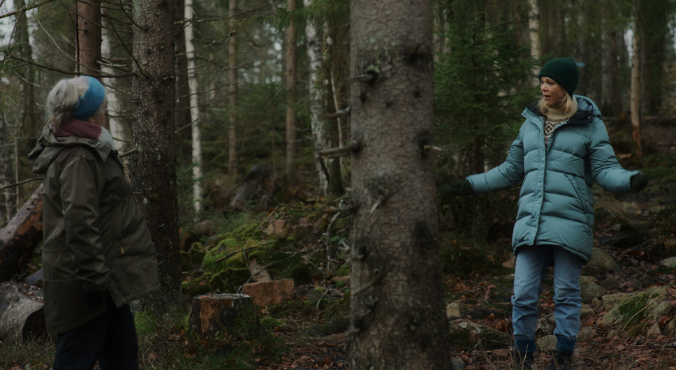 DREAMS 9枚目の写真・画像