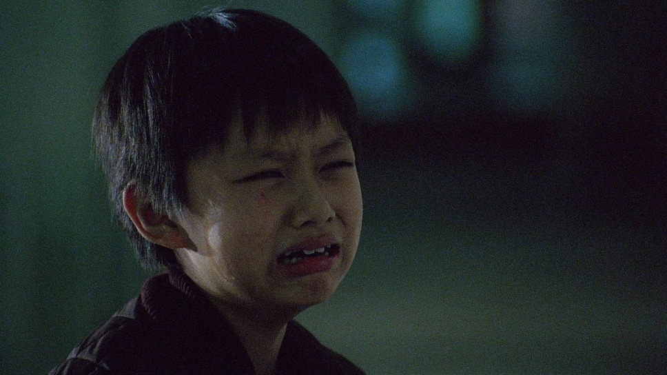 野。良犬 6枚目の写真・画像