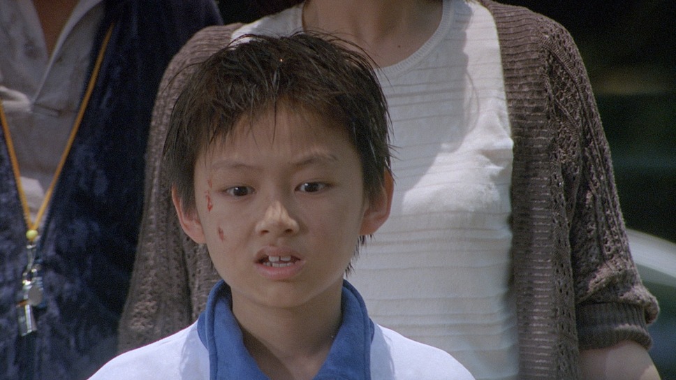 野。良犬 10枚目の写真・画像