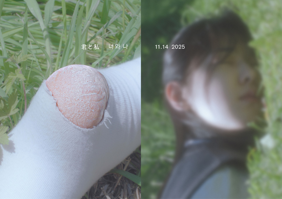 君と私 6枚目の写真・画像