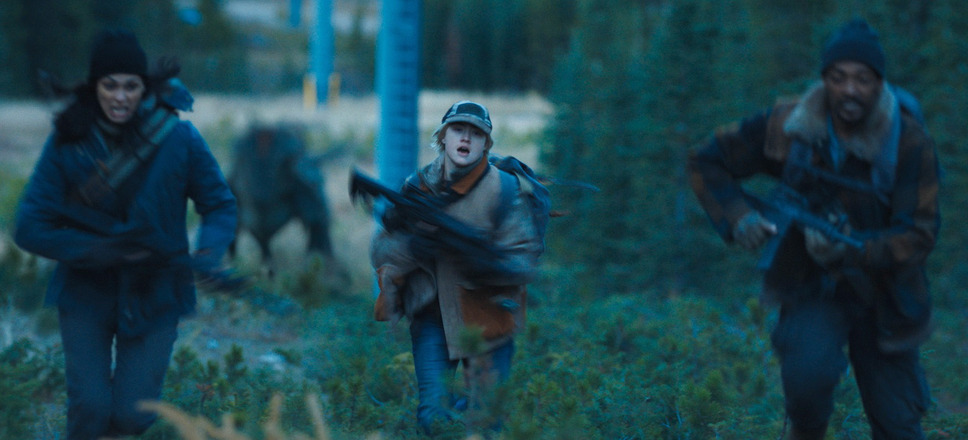 エレベーション　絶滅ライン 6枚目の写真・画像