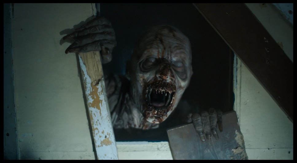 アンティル・ドーン 22枚目の写真・画像