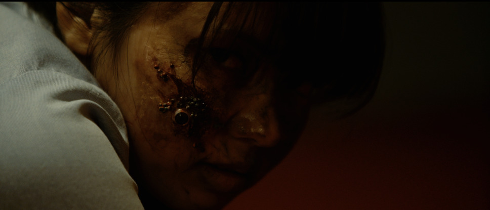 TSUSHIMA 4枚目の写真・画像