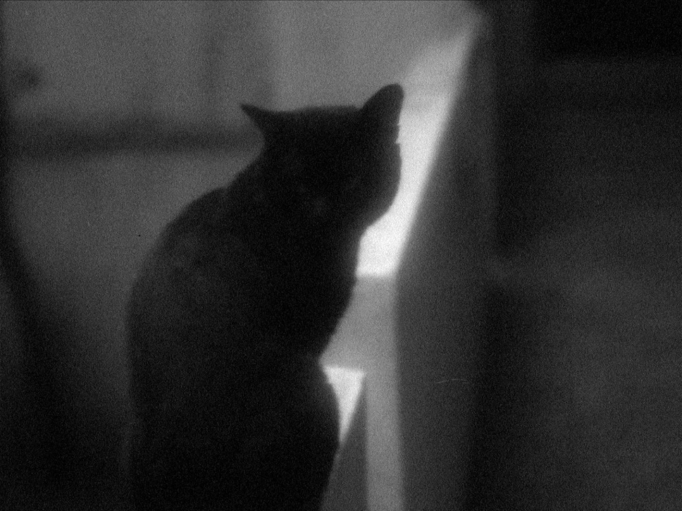 何も知らない夜 10枚目の写真・画像