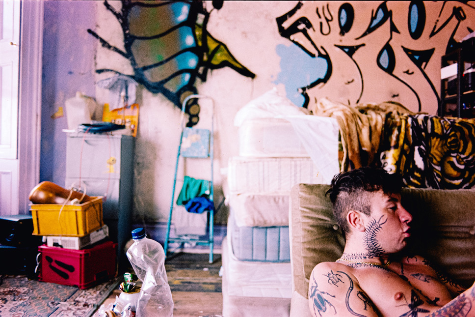 バード ここから羽ばたく 7枚目の写真・画像