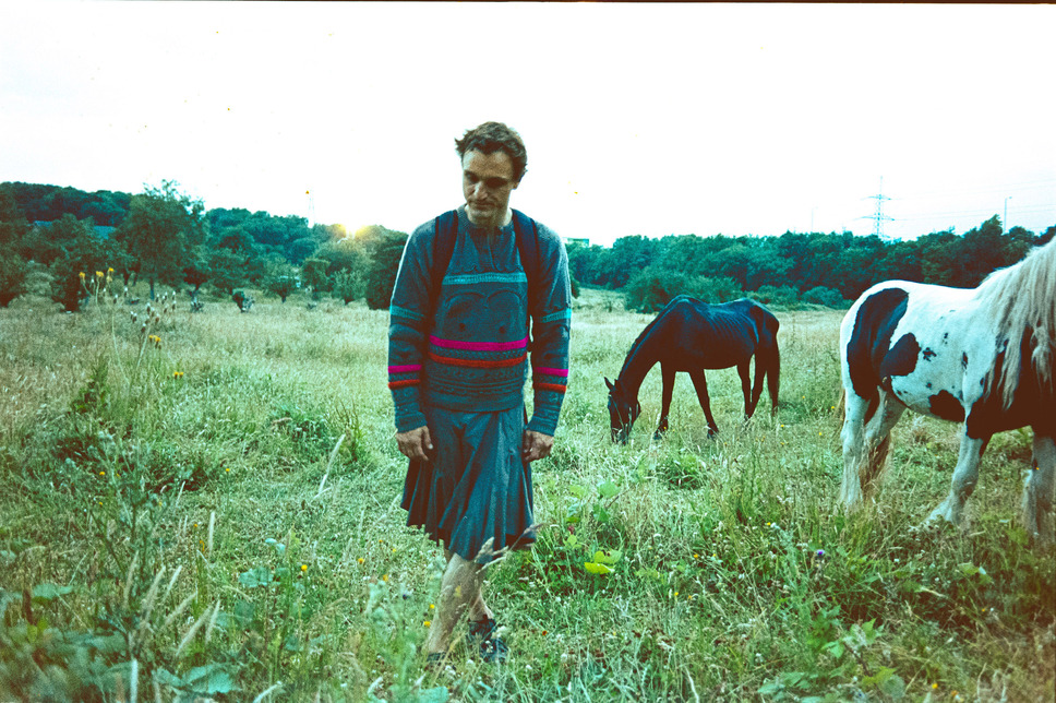 バード ここから羽ばたく 8枚目の写真・画像