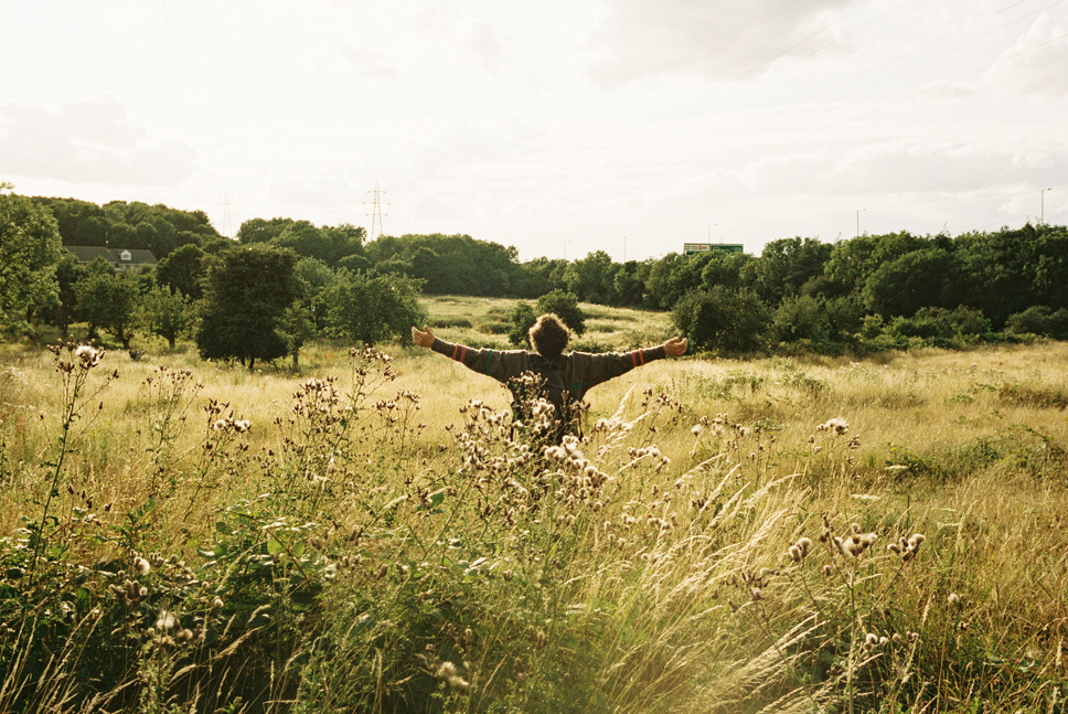 バード ここから羽ばたく 11枚目の写真・画像