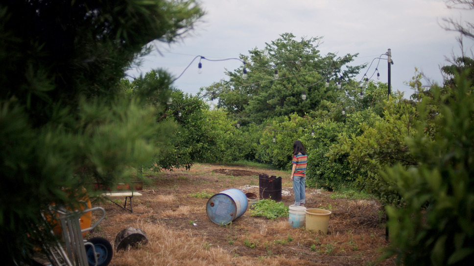 架空書影。 5枚目の写真・画像