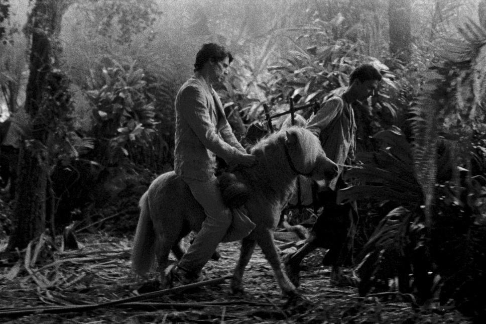 グランドツアー 10枚目の写真・画像