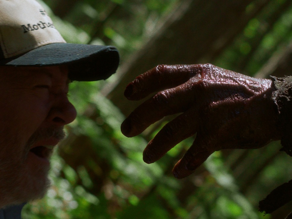 バイオレント・ネイチャー 6枚目の写真・画像