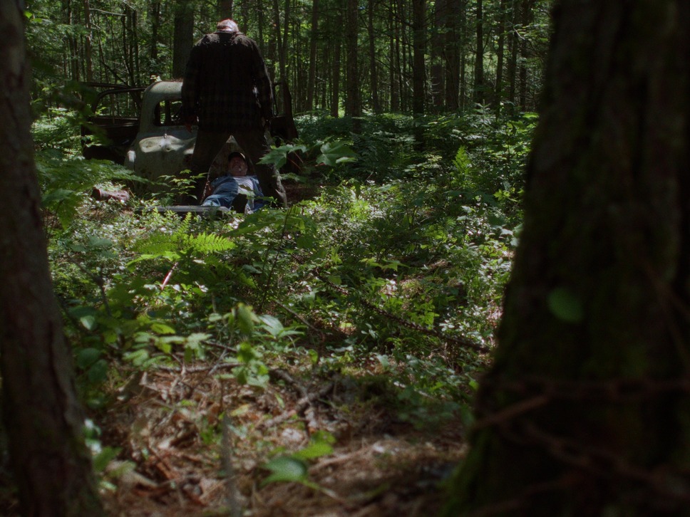 バイオレント・ネイチャー 8枚目の写真・画像