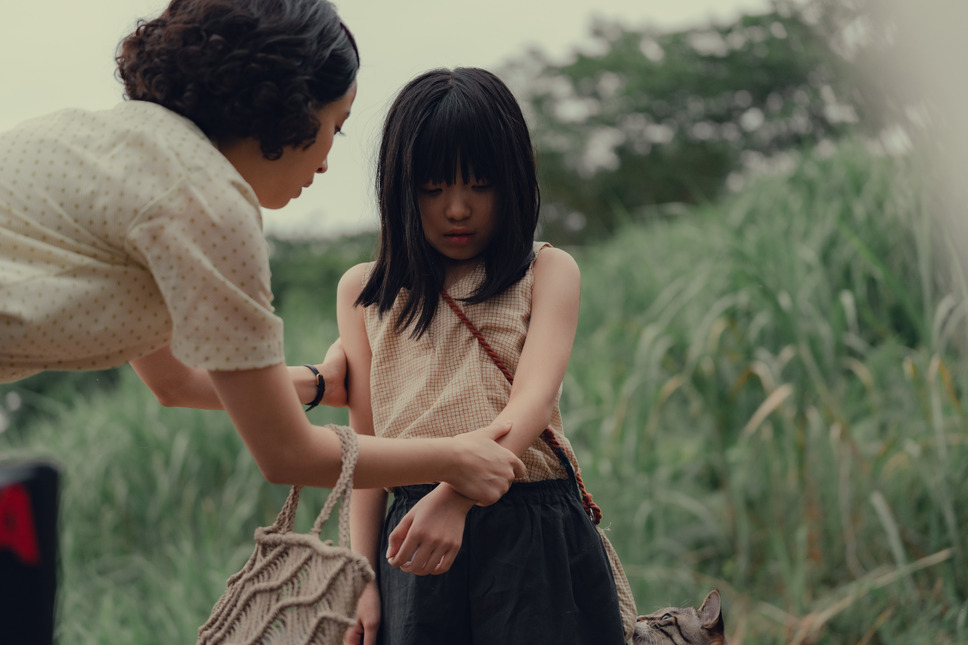 遠い山なみの光 26枚目の写真・画像