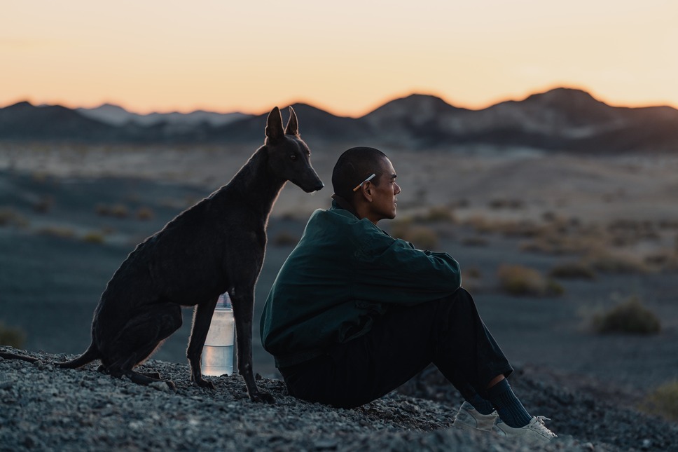 ブラックドッグ 9枚目の写真・画像