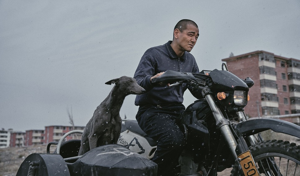 ブラックドッグ 12枚目の写真・画像