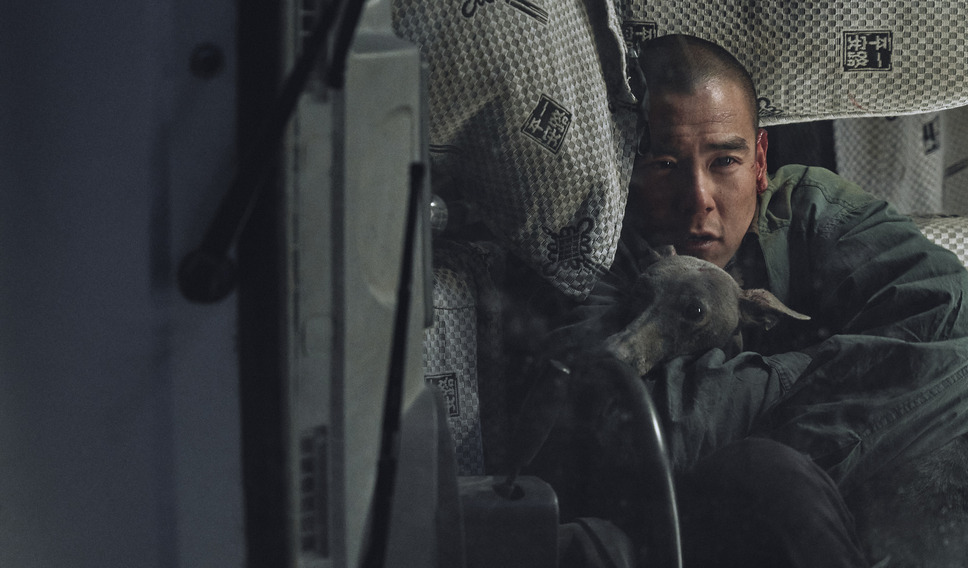 ブラックドッグ 11枚目の写真・画像