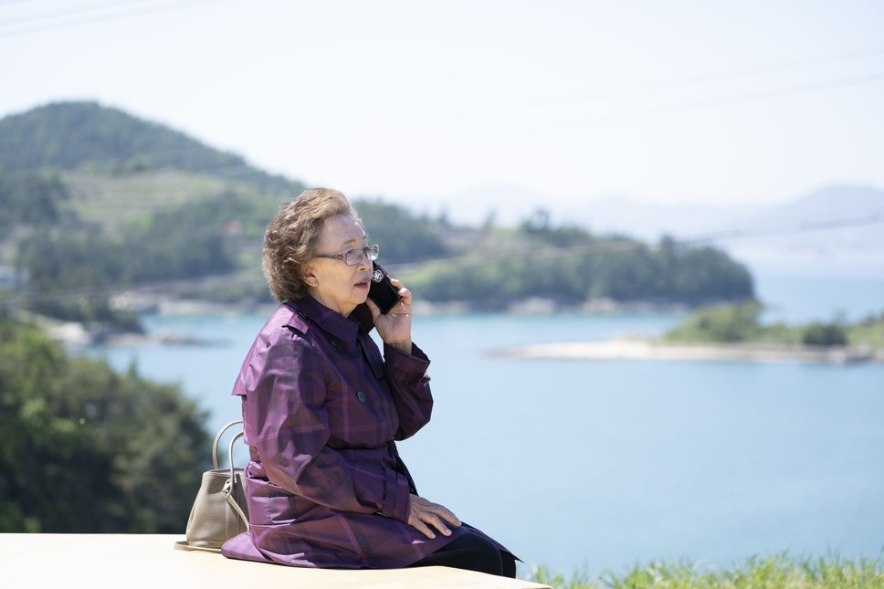 最後のピクニック 12枚目の写真・画像