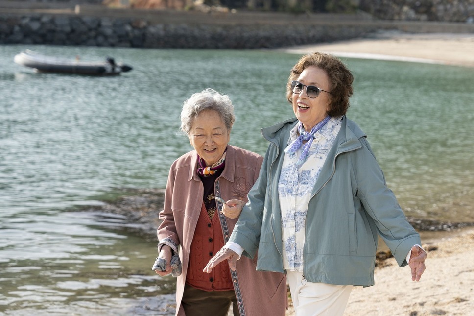 最後のピクニック 13枚目の写真・画像