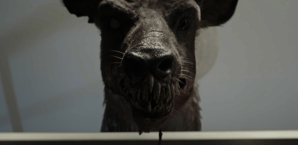 子鹿のゾンビ 20枚目の写真・画像