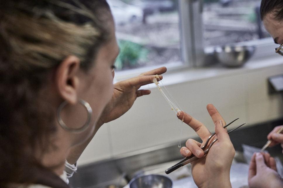 ムガリッツ 19枚目の写真・画像