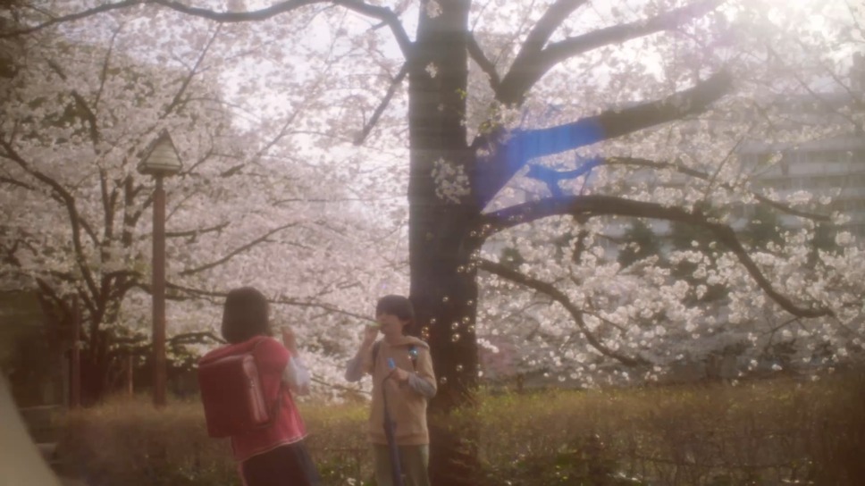 秒速5センチメートル（2025） 10枚目の写真・画像