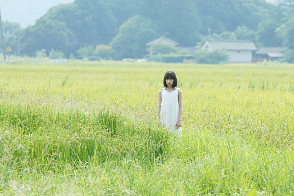 火喰鳥を、喰う 15枚目の写真・画像