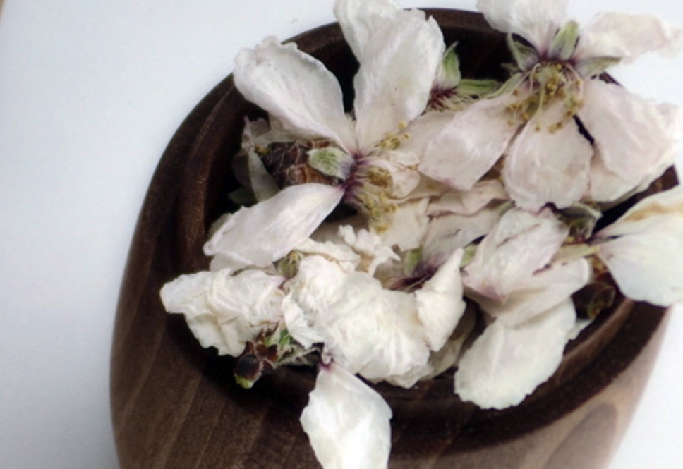 ムガリッツ 22枚目の写真・画像