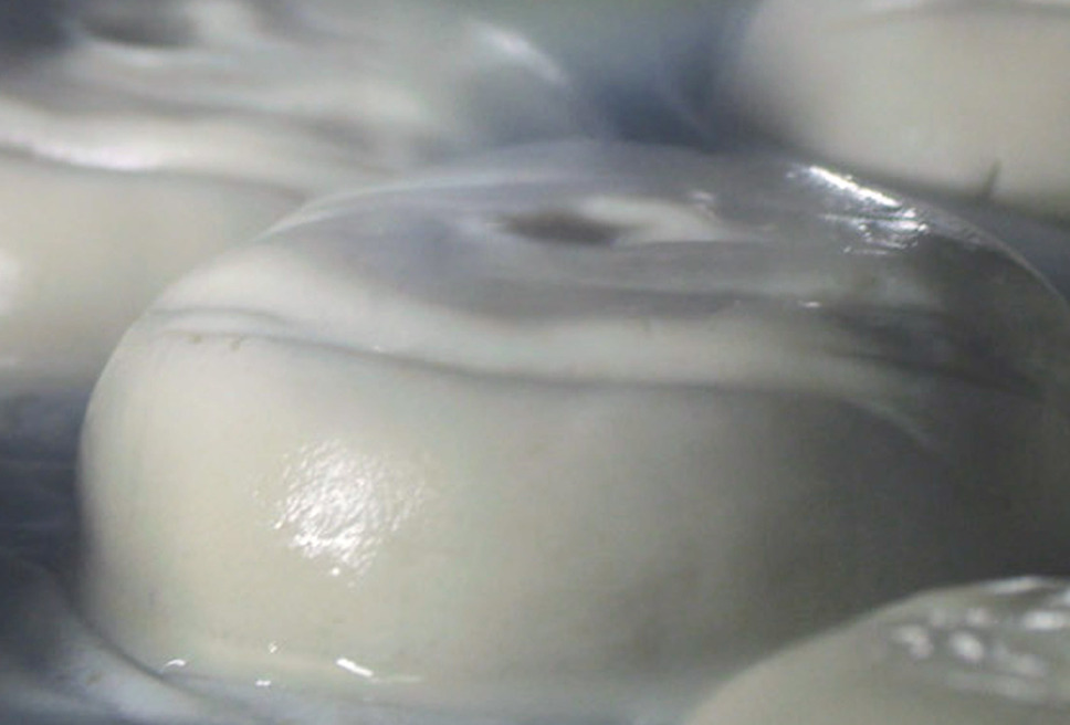 ムガリッツ 23枚目の写真・画像