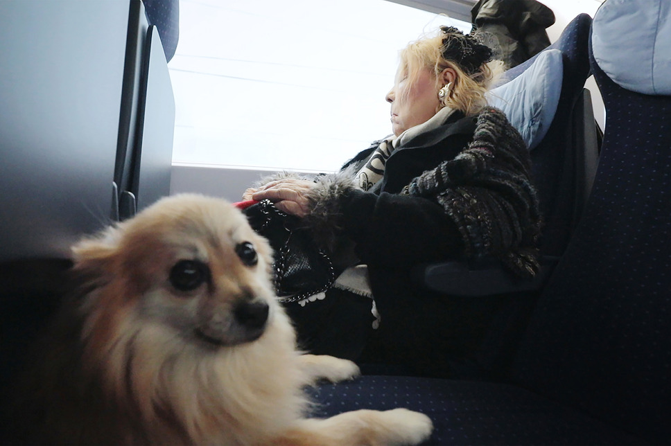 フジコ・ヘミング 永遠の音色 5枚目の写真・画像