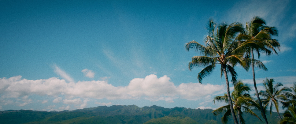 モロカイ・バウンド 10枚目の写真・画像
