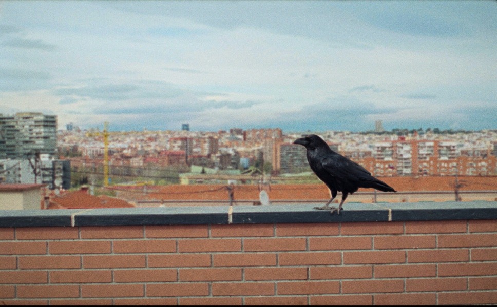 サムシング・ハプンズ・トゥ・ミー 12枚目の写真・画像