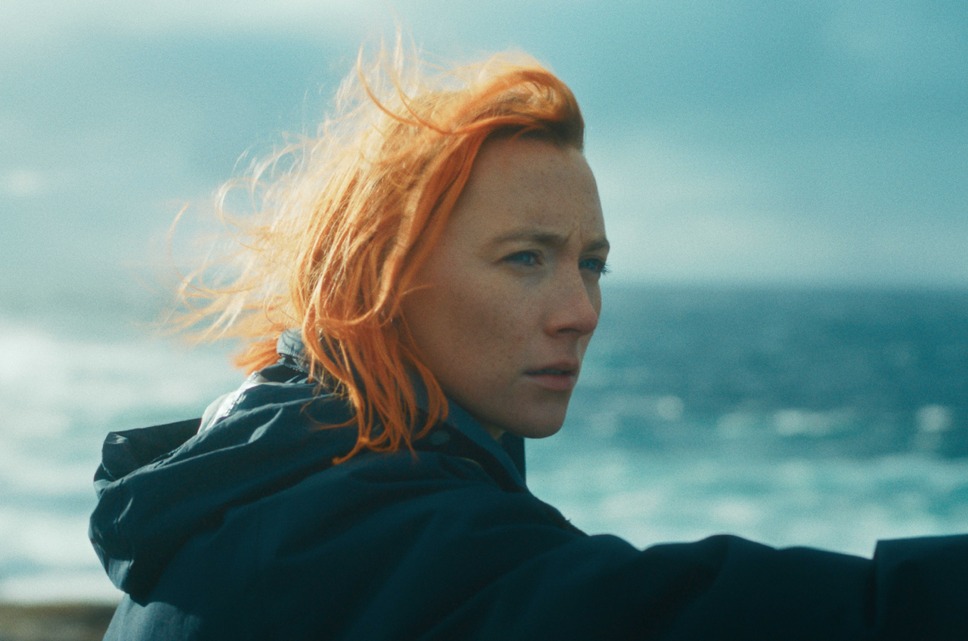 おくびょう鳥が歌うほうへ 2枚目の写真・画像