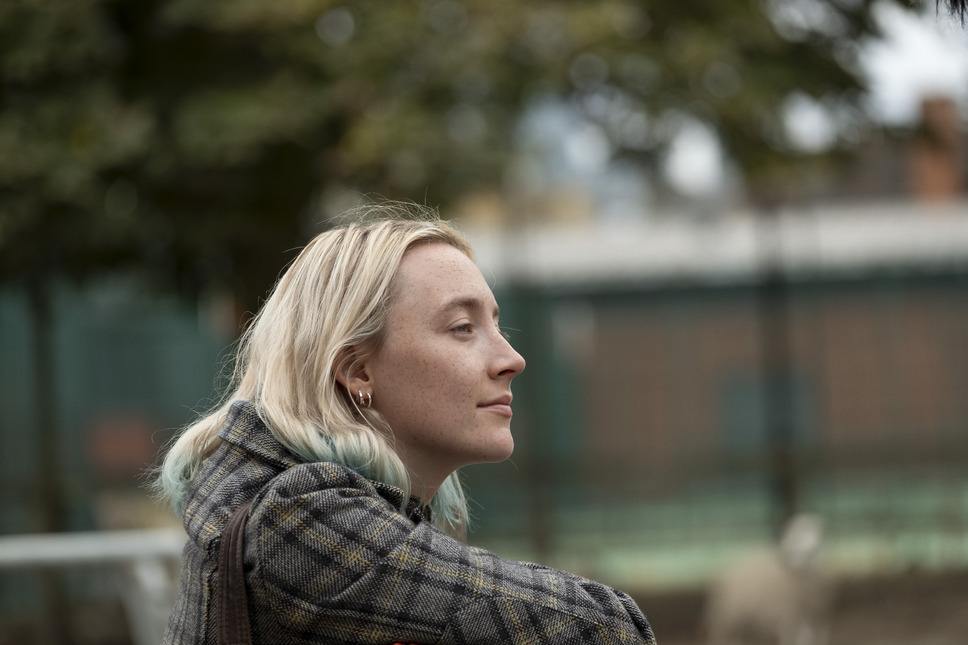 おくびょう鳥が歌うほうへ 8枚目の写真・画像