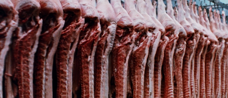 ロードゲーム 11枚目の写真・画像