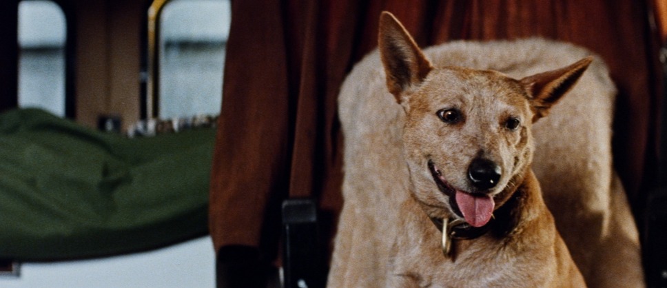 ロードゲーム 12枚目の写真・画像