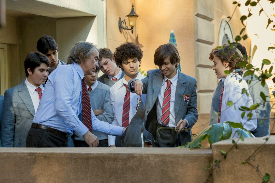 ペンギン・レッスン 4枚目の写真・画像