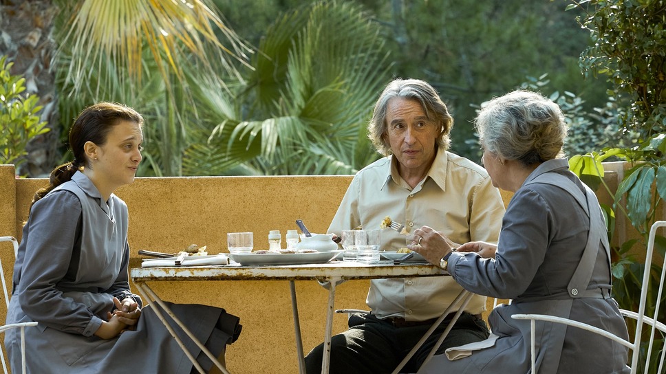 ペンギン・レッスン 5枚目の写真・画像