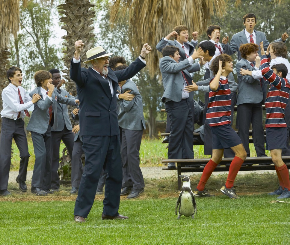 ペンギン・レッスン 12枚目の写真・画像