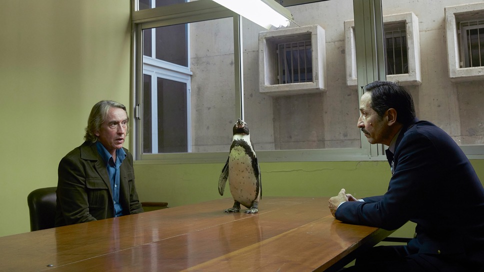 ペンギン・レッスン 14枚目の写真・画像