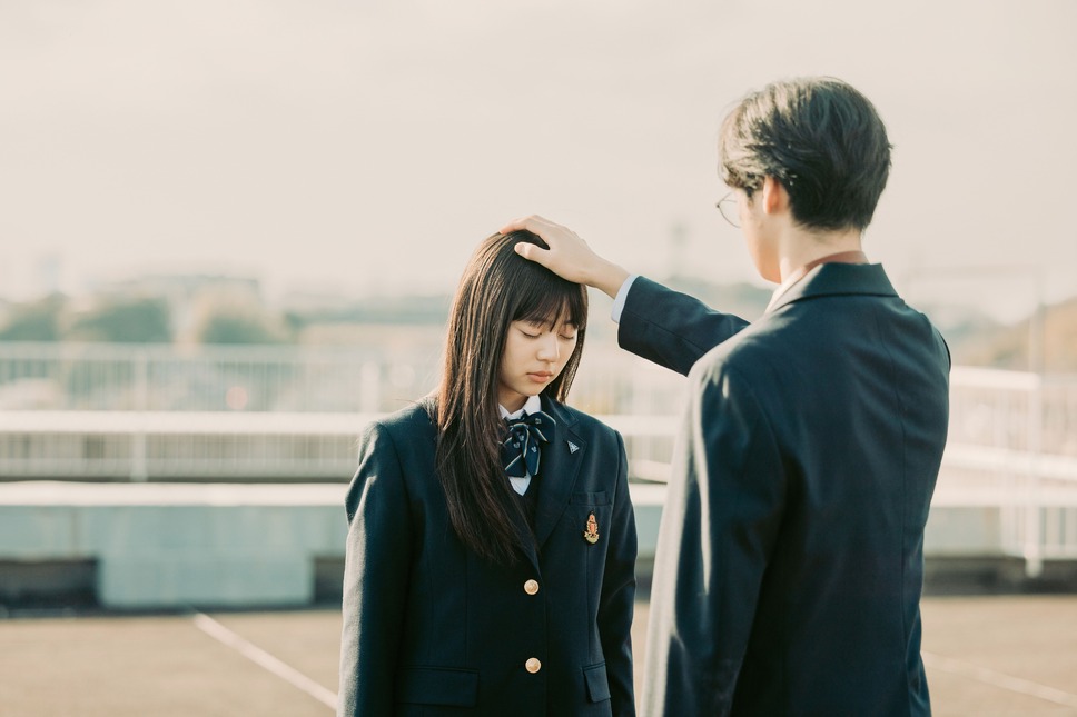 楓 11枚目の写真・画像