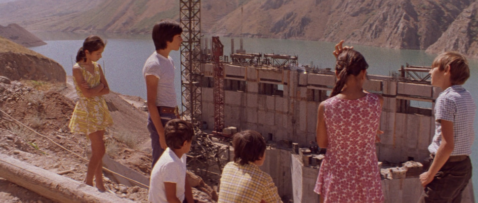 苦い果実 3枚目の写真・画像