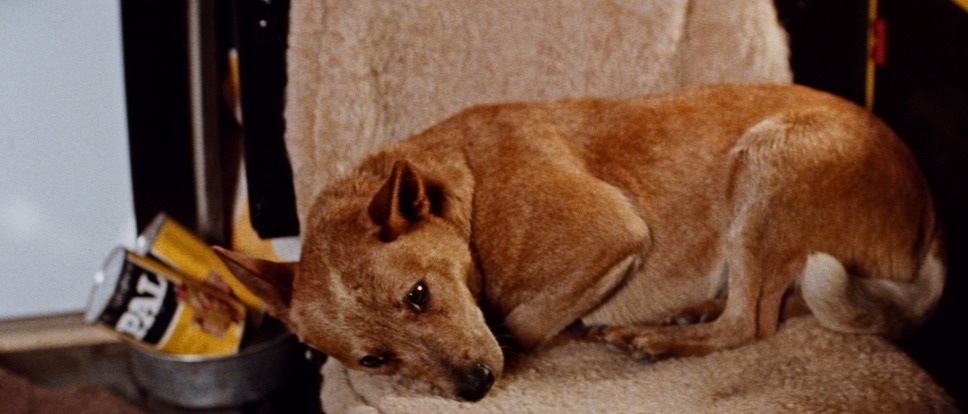 ロードゲーム 16枚目の写真・画像