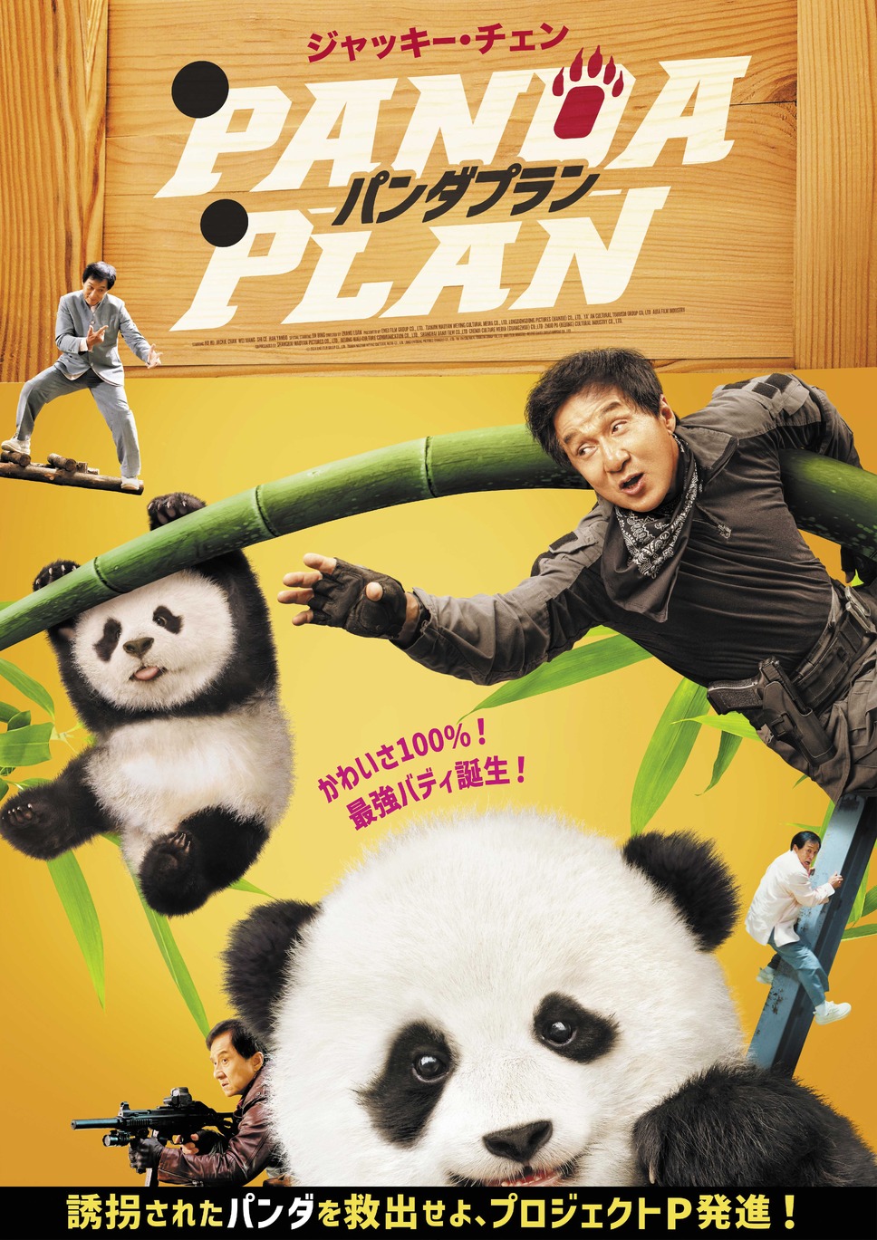 パンダプラン 1枚目の写真・画像