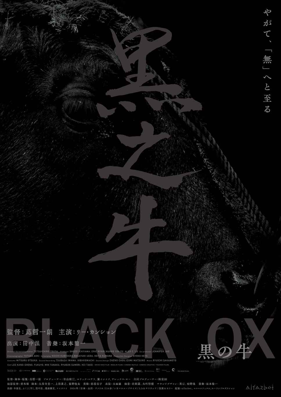 黒の牛 1枚目の写真・画像