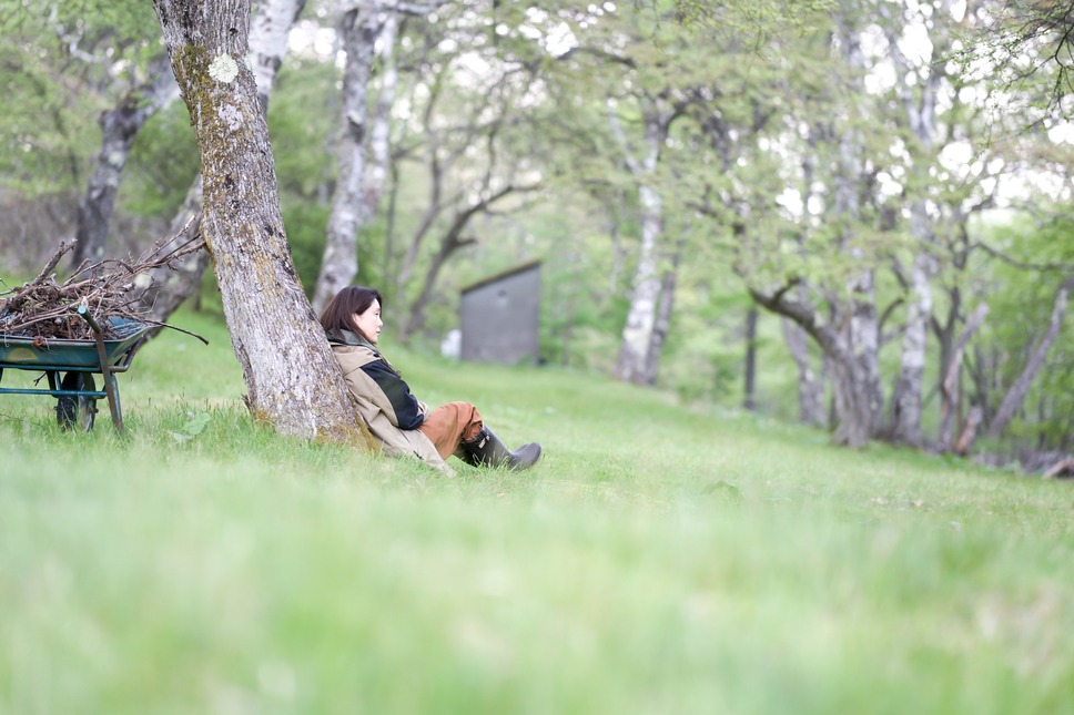 もういちどみつめる 9枚目の写真・画像
