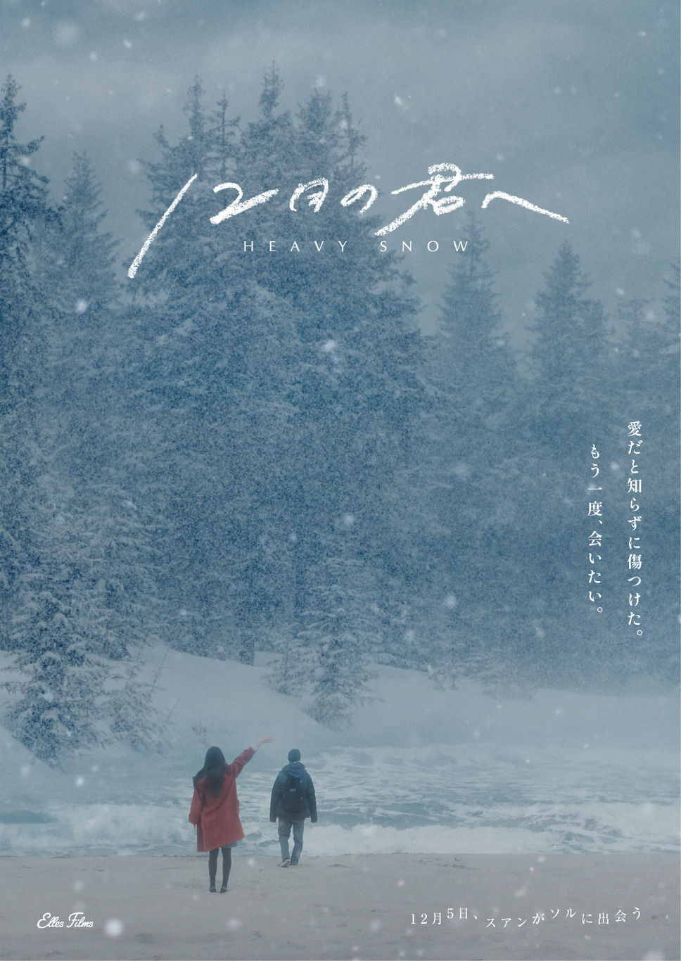 12月の君へ 5枚目の写真・画像