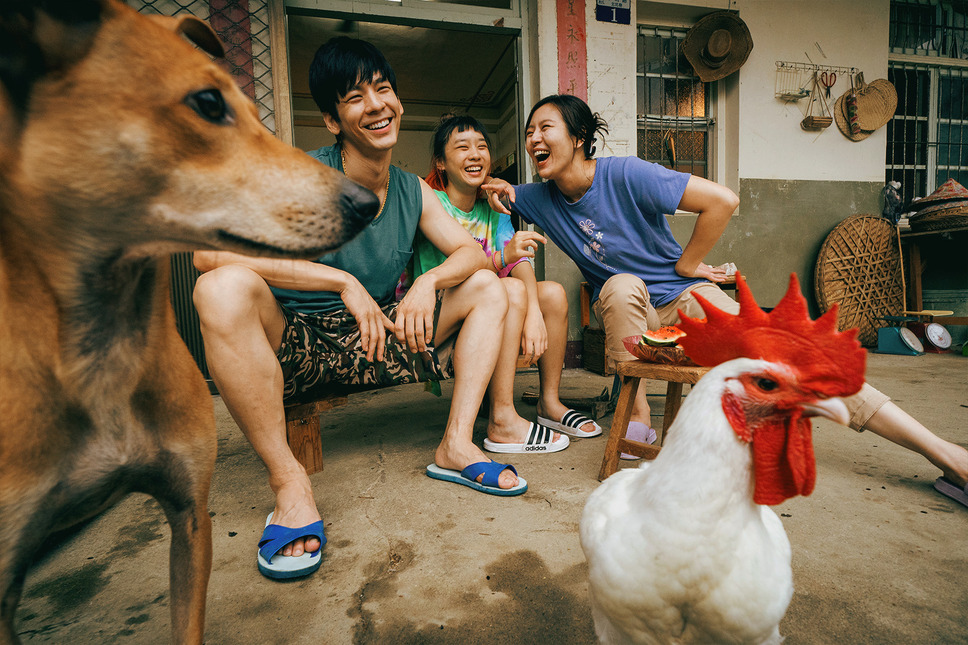 サリー 3枚目の写真・画像