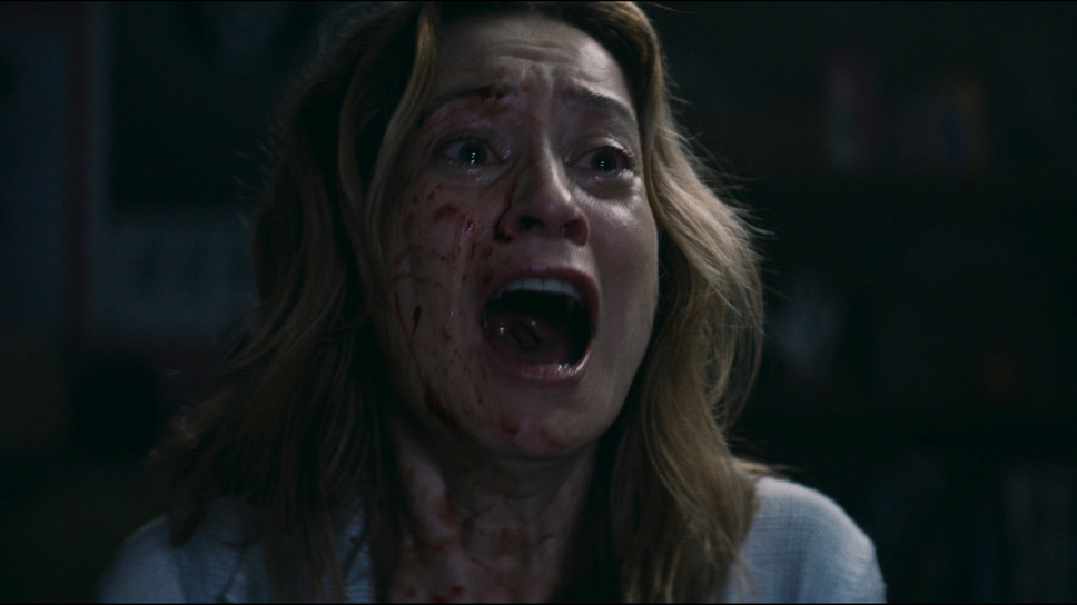 シェルビー・オークス 25枚目の写真・画像