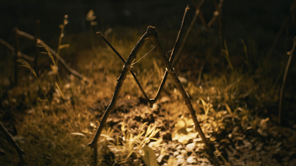 シェルビー・オークス 26枚目の写真・画像