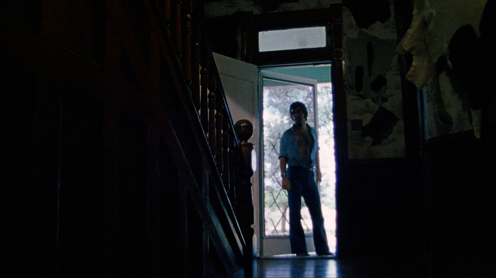 悪魔のいけにえ 4Kデジタルリマスター 公開50周年記念版 7枚目の写真・画像